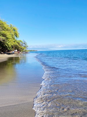 Olowalu Beach by null