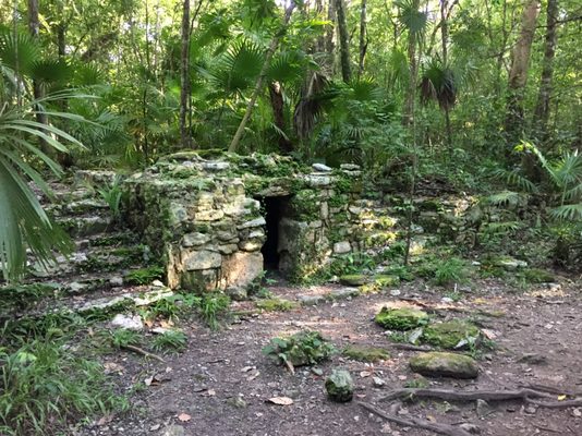 Zona Arqueológica de Muyil by null