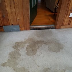 American Carpet Cleaners - These are pet spots from a dog. This carpet was in our rental property.