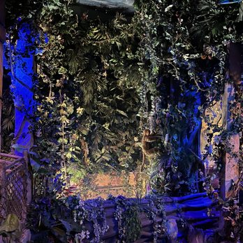 Rainforest Cafe - American Near Me - San Antonio, Texas