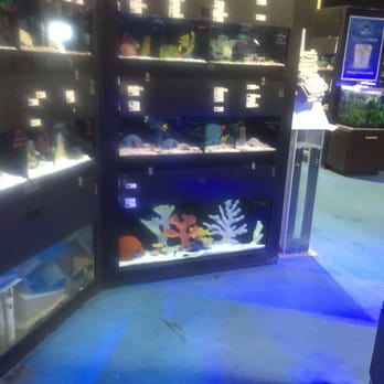 Aquarium - Aquarium Services Near Me - Knoxville, Tennessee Aquarium - Aquarium Services Near Me - Knoxville, Tennessee