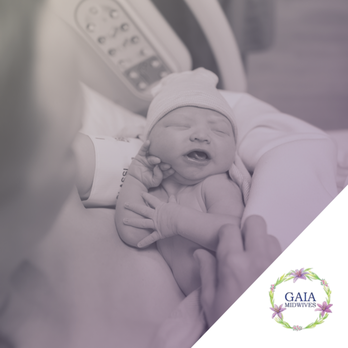 Gaia Midwives - Midwives Near Me - Smithtown, New York Gaia Midwives - Midwives Near Me - Smithtown, New York