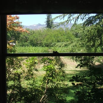 Bear Flag Inn - View of their vineyard from our room - Hotels Near Me - Calistoga, California Bear Flag Inn - View of their vineyard from our room - Hotels Near Me - Calistoga, California