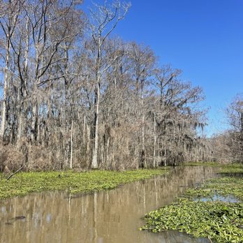 Cajun Encounters Tour Company - Tours Near Me - Slidell, Louisiana