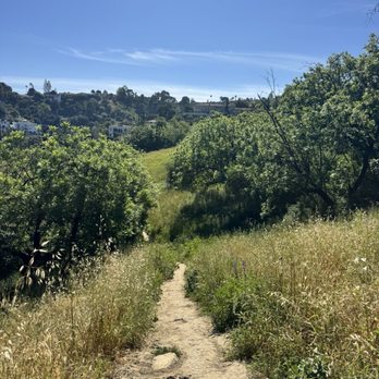 Deervale-Stone Canyon Park - Hiking Near Me - Los Angeles, California