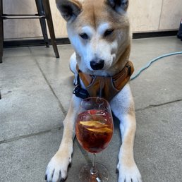 With a special Negroni using Prosecco