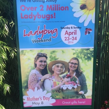 Armstrong Garden Centers - Free insects on signage..... Lol - Nurseries & Gardening Near Me - Glendale, California