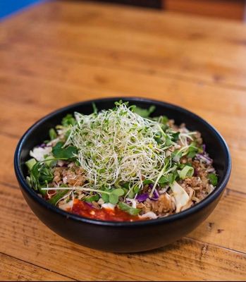 The Blue Owl by null