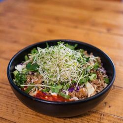 The Blue Owl - Large Fried Rice