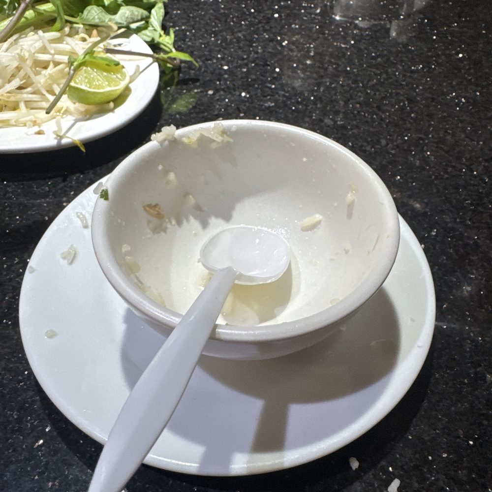 Pho Hoa Soan - She devoured her bowl - Vietnamese Near Me - Garden Grove, California Pho Hoa Soan - She devoured her bowl - Vietnamese Near Me - Garden Grove, California