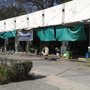 Photo of Mercado de flores "Cambio de Dolores"