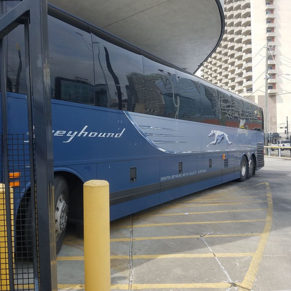 Greyhound Bus Lines - A touch of grey - Transportation Near Me - Saint Cloud, Minnesota