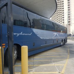 Greyhound Bus Lines - A touch of grey