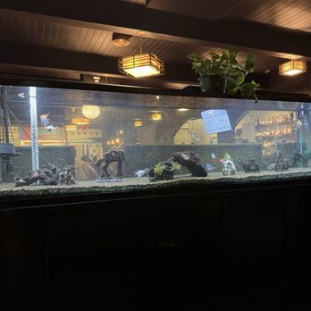 Tiffany's - Entrance area - Asian Fusion Near Me - Wailuku, Hawaii