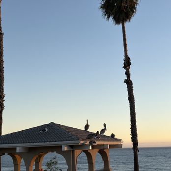 Pacific Point Resort, Formerly Shore Cliff Hotel - Gazebo full of seagulls and pelicans - Hotels Near Me - Pismo Beach, California Pacific Point Resort, Formerly Shore Cliff Hotel - Gazebo full of seagulls and pelicans - Hotels Near Me - Pismo Beach, California