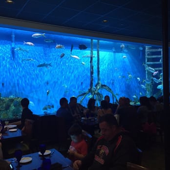 RumFish Grill - Seafood Near Me - St Pete Beach, Florida