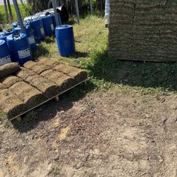Frasier's Nursery & Florist - Centipede sod for sale