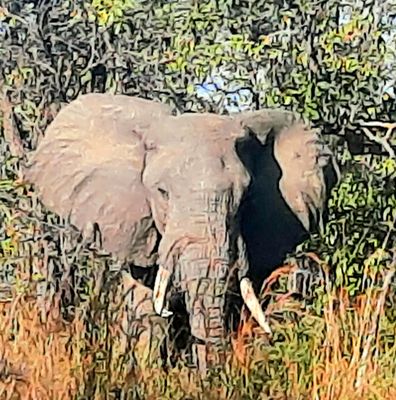 Overseas Adventure Travel by null