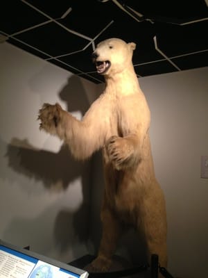 Museum of Arts and Sciences by null