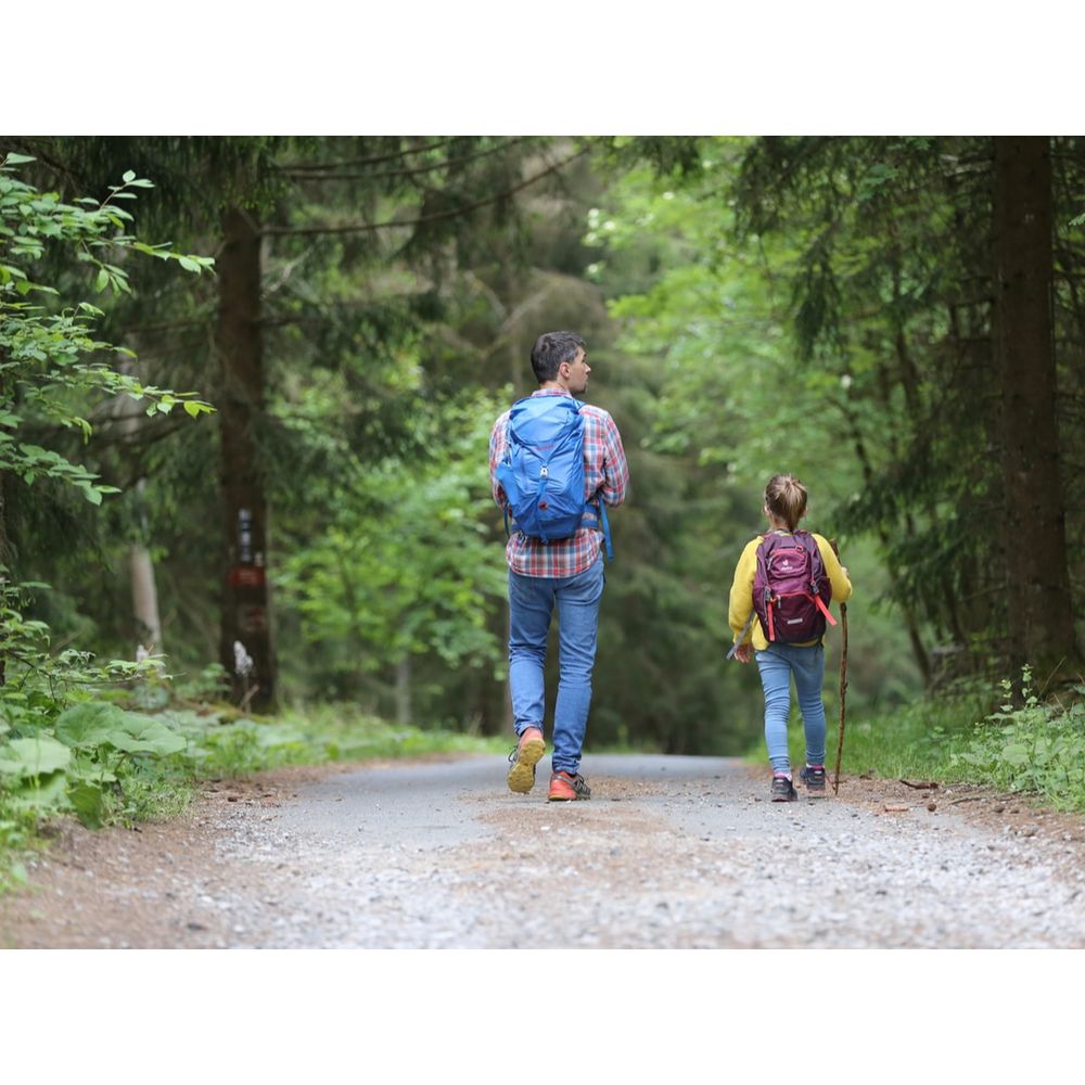 GREY PSYCHOEDUCATIONAL SERVICES Updated September 2024 Jacksonville