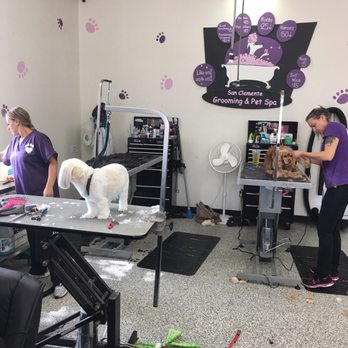 OC Grooming & Pet Spa - Different areas to trim the dogs - Pet Groomers Near Me - San Clemente, California