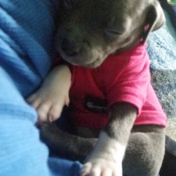 IB Pet - She's now an IB pet baby! - Pet Stores Near Me - Imperial Beach, California IB Pet - She's now an IB pet baby! - Pet Stores Near Me - Imperial Beach, California