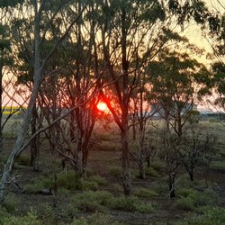 Organ Pipes National Park - Sunset over calder park raceway, from organ pipes