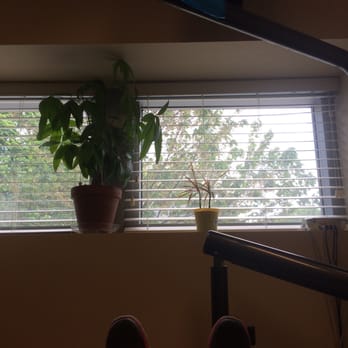 FM Dental Group - Window view ;) - General Dentistry Near Me - Arlington, Virginia FM Dental Group - Window view ;) - General Dentistry Near Me - Arlington, Virginia
