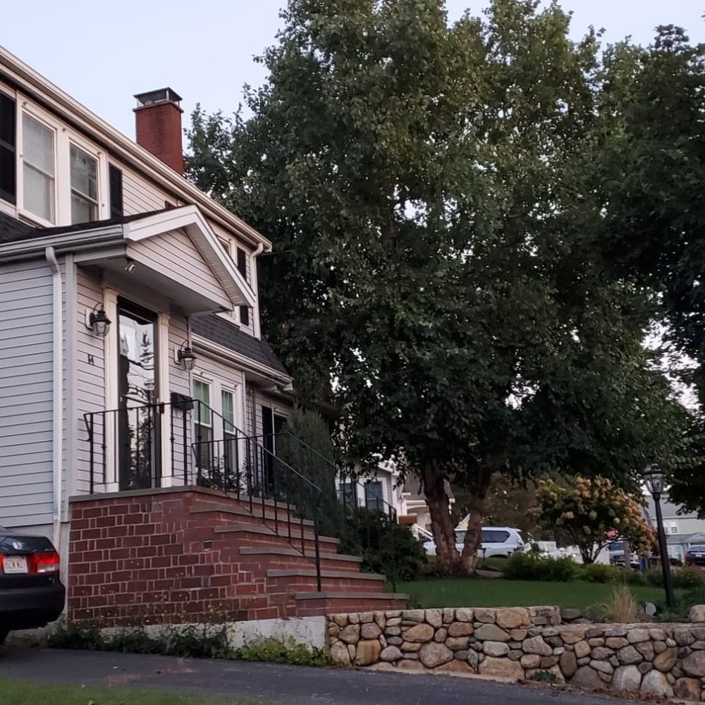 Arborway Tree Care - Before and after pics. - Tree Services Near Me - Hyde Park, Massachusetts Arborway Tree Care - Before and after pics. - Tree Services Near Me - Hyde Park, Massachusetts