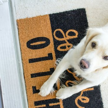 Heart to Home Veterinary Services - Veterinarians Near Me Heart to Home Veterinary Services - Veterinarians Near Me