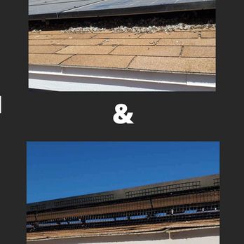 The Pigeon Wrangler - Before and After of a cleaning and screen job on solar panels - Pest Control Near Me The Pigeon Wrangler - Before and After of a cleaning and screen job on solar panels - Pest Control Near Me