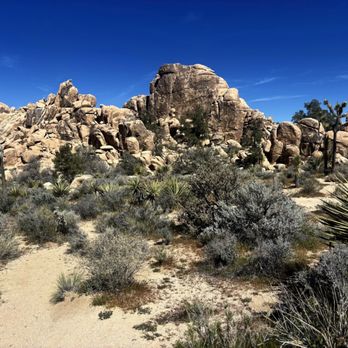 Hidden Valley Loop Trail - Hiking Near Me