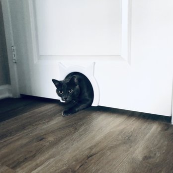 Integrity Woodworking - Installed kitty door - Door Sales/Installation Near Me Integrity Woodworking - Installed kitty door - Door Sales/Installation Near Me