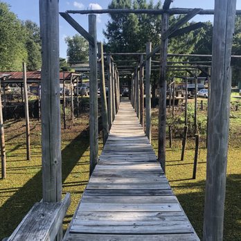 Our Place Bar & Grill - Dock over the lake. No hand rails . Yikes. - Bars Near Me - Elm Grove, Louisiana Our Place Bar & Grill - Dock over the lake. No hand rails . Yikes. - Bars Near Me - Elm Grove, Louisiana