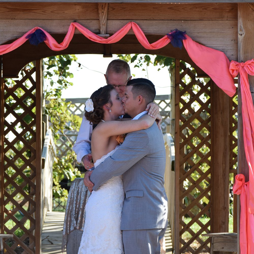 Wyldewood Cellars - vineyard in Peck, KS