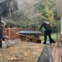 Photo of Custom Clean Outs Junk and Metal Disposal Services