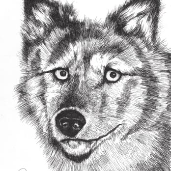 Drawn2Art - Chloe, Age 15, Pen and ink - Art Schools Near Me - Valencia, California Drawn2Art - Chloe, Age 15, Pen and ink - Art Schools Near Me - Valencia, California
