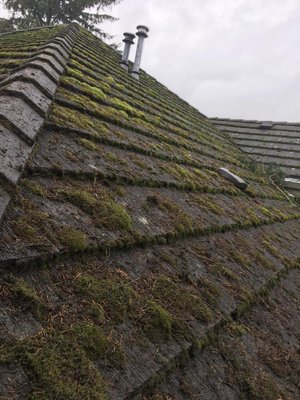 Concrete roof cleaning - Moss, mildew, debris and other organic growth can damage roofs leading to costly repairs and replacements. This client had their roof serviced in time to avoid this. Don't roll the dice, call us to clean and inspect your roof for an affordable price and avoid extremely costly issues in the future. Concrete roof cleaning - Moss, mildew, debris and other organic growth can damage roofs leading to costly repairs and replacements. This client had their roof serviced in time to avoid this. Don't roll the dice, call us to clean and inspect your roof for an affordable price and avoid extremely costly issues in the future.