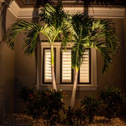 Elegant Accents