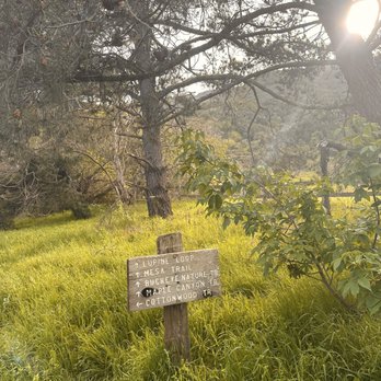 Garland Ranch Regional Park - Trail sign - Hiking Near Me - Carmel Valley, California Garland Ranch Regional Park - Trail sign - Hiking Near Me - Carmel Valley, California