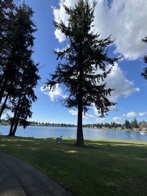 Lake Meridian Park by null