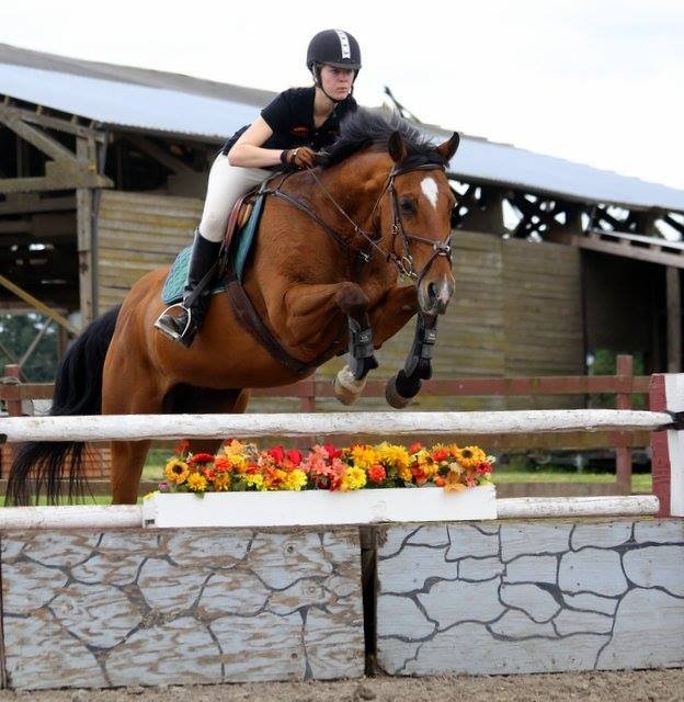 Whitewind Farm - equestrian in Silverton, OR