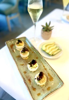 Succulent Fine Dining by null