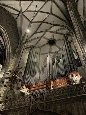 St. Stephen's Cathedral by null