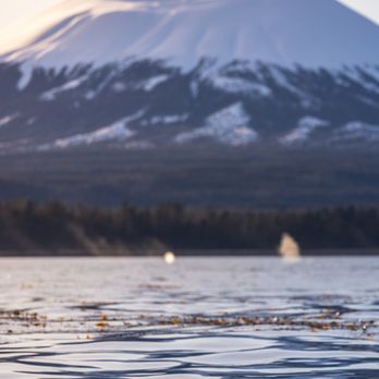 Sitka Sea Level Adventures - On Board with Sitka Sea Level Adventures by Caitlin Blaisdell Photography - Boat Tours Near Me