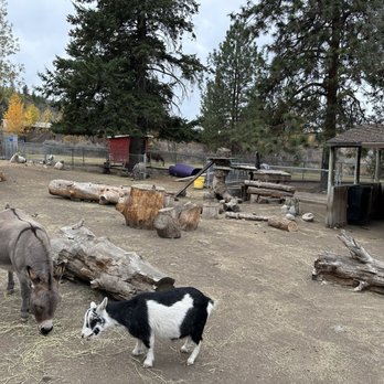 BC Wildlife Park - Zoos Near Me - Kamloops, British Columbia BC Wildlife Park - Zoos Near Me - Kamloops, British Columbia
