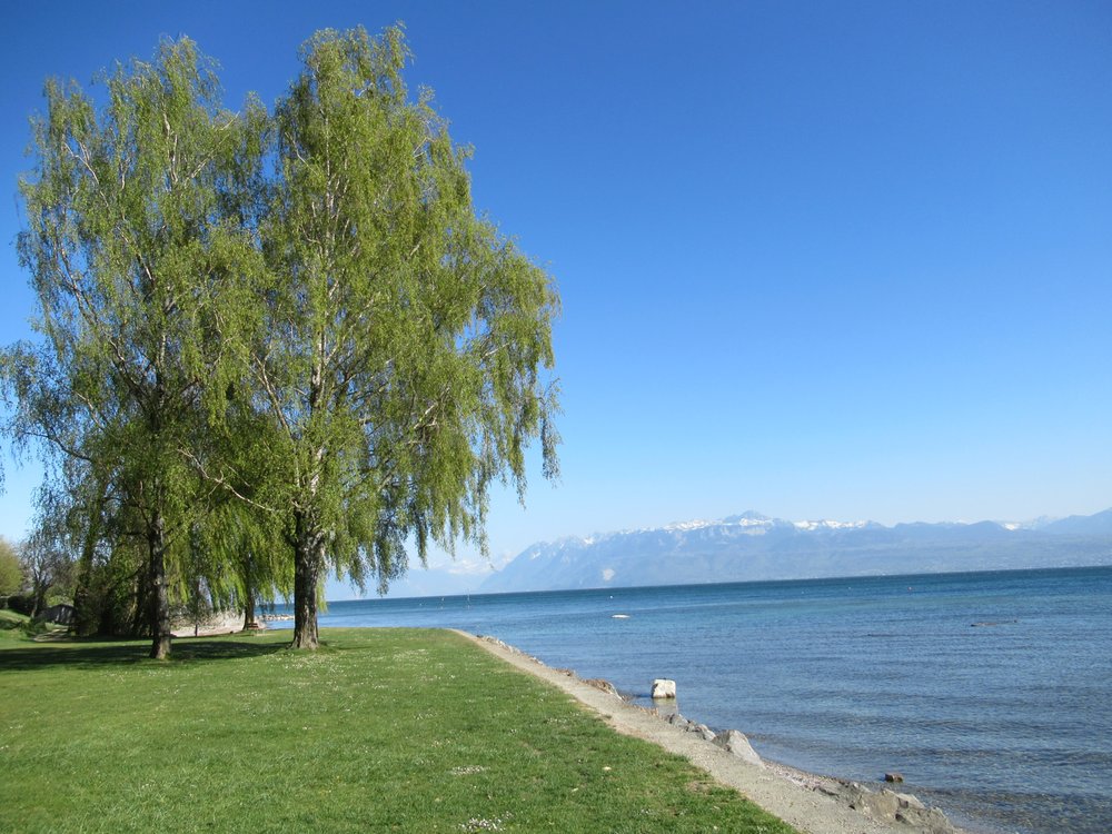 PARC DE LA PLAGE DE SAINTSULPICE Chemin du Laviau 5, SaintSulpice, Vaud, Switzerland Parks