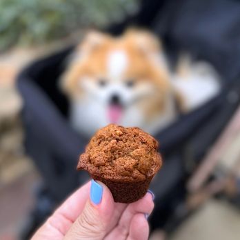 Sweet Reba's - Pupcake w/ almond butter, bananas, molasses, included walnuts not mentioned on tag | 50 cents? (no price tags) - Bakeries Near Me - Carmel, California