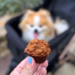 Sweet Reba's - Pupcake w/ almond butter, bananas, molasses, included walnuts not mentioned on tag | 50 cents? (no price tags)