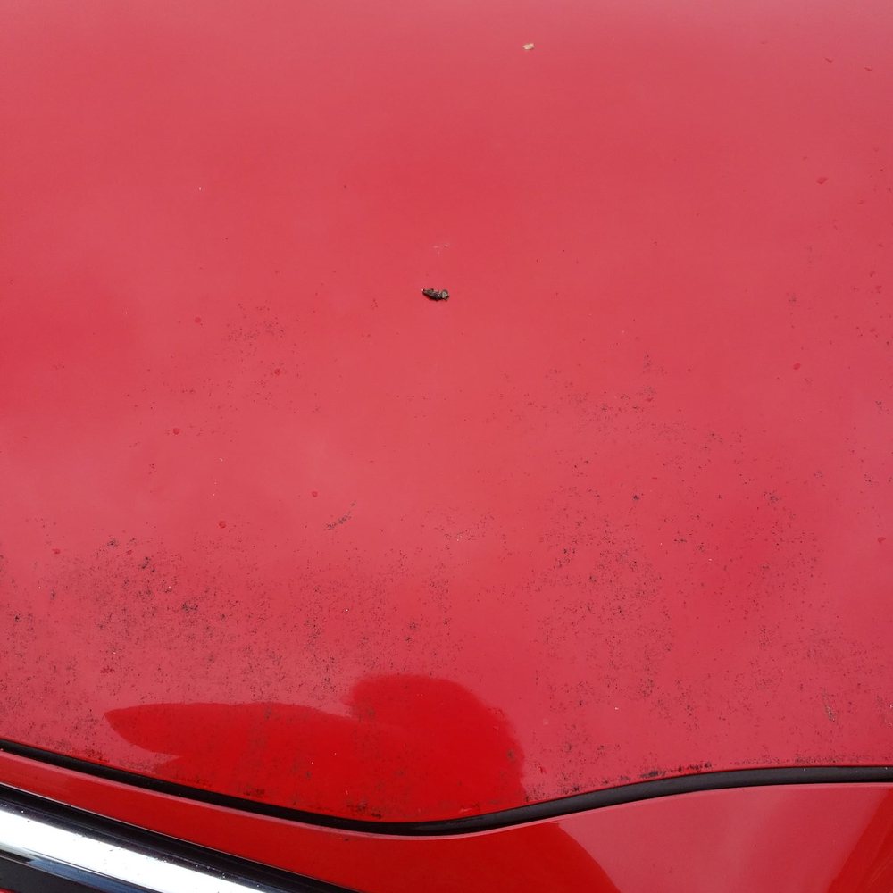 This is immediately after the wash. Still on the parking lot. Bird poop and dirt still there.